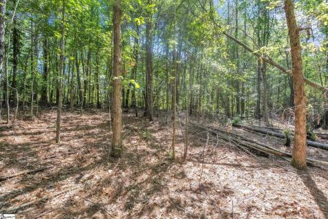 0 Linder Road Gaffney SC 29341