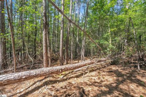 0 Linder Road Gaffney SC 29341
