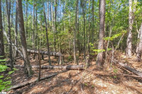 0 Linder Road Gaffney SC 29341