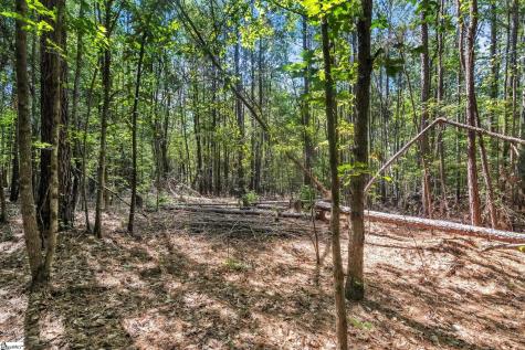 0 Linder Road Gaffney SC 29341