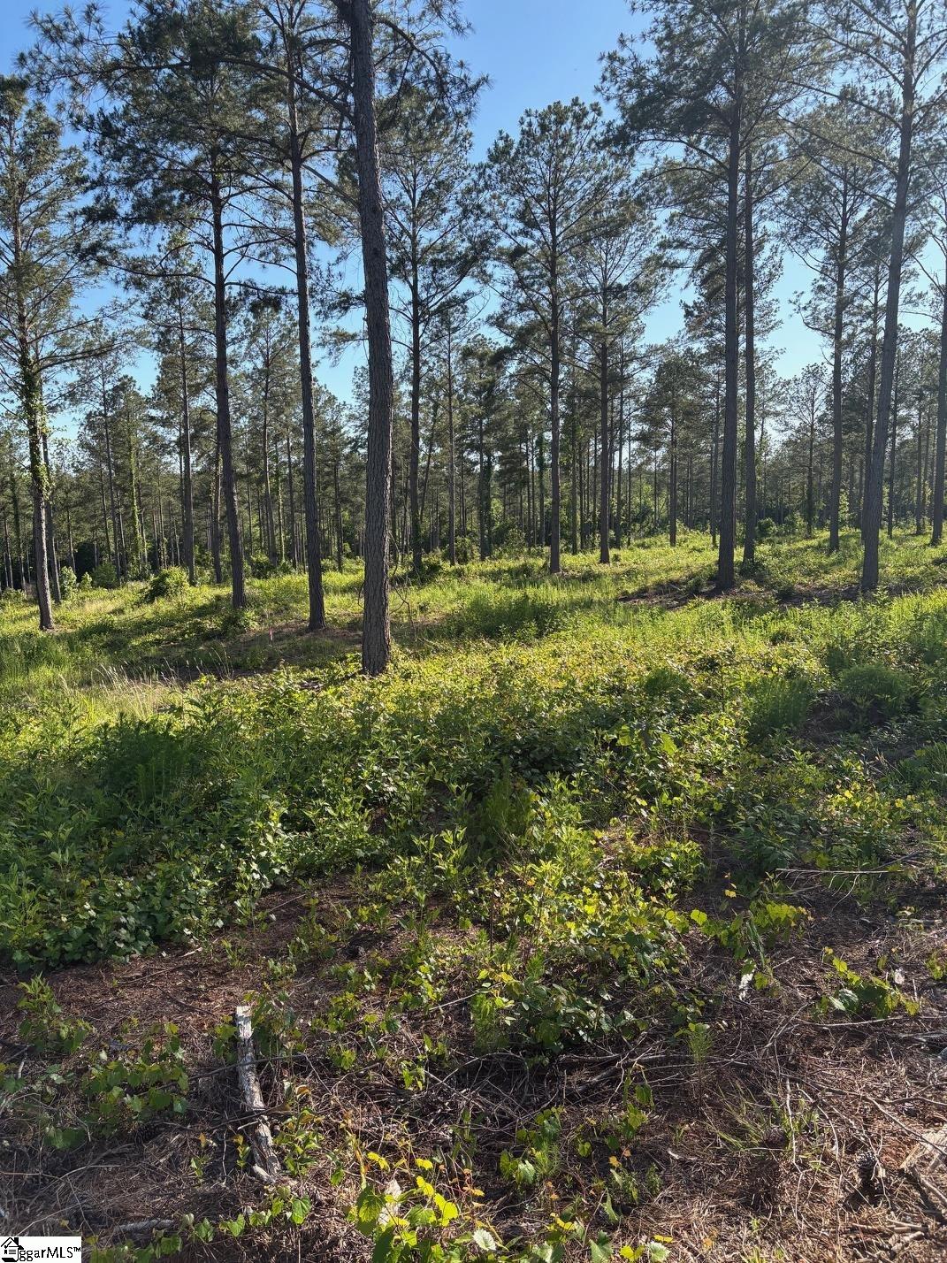 334 Berry Road Pelzer SC 29669