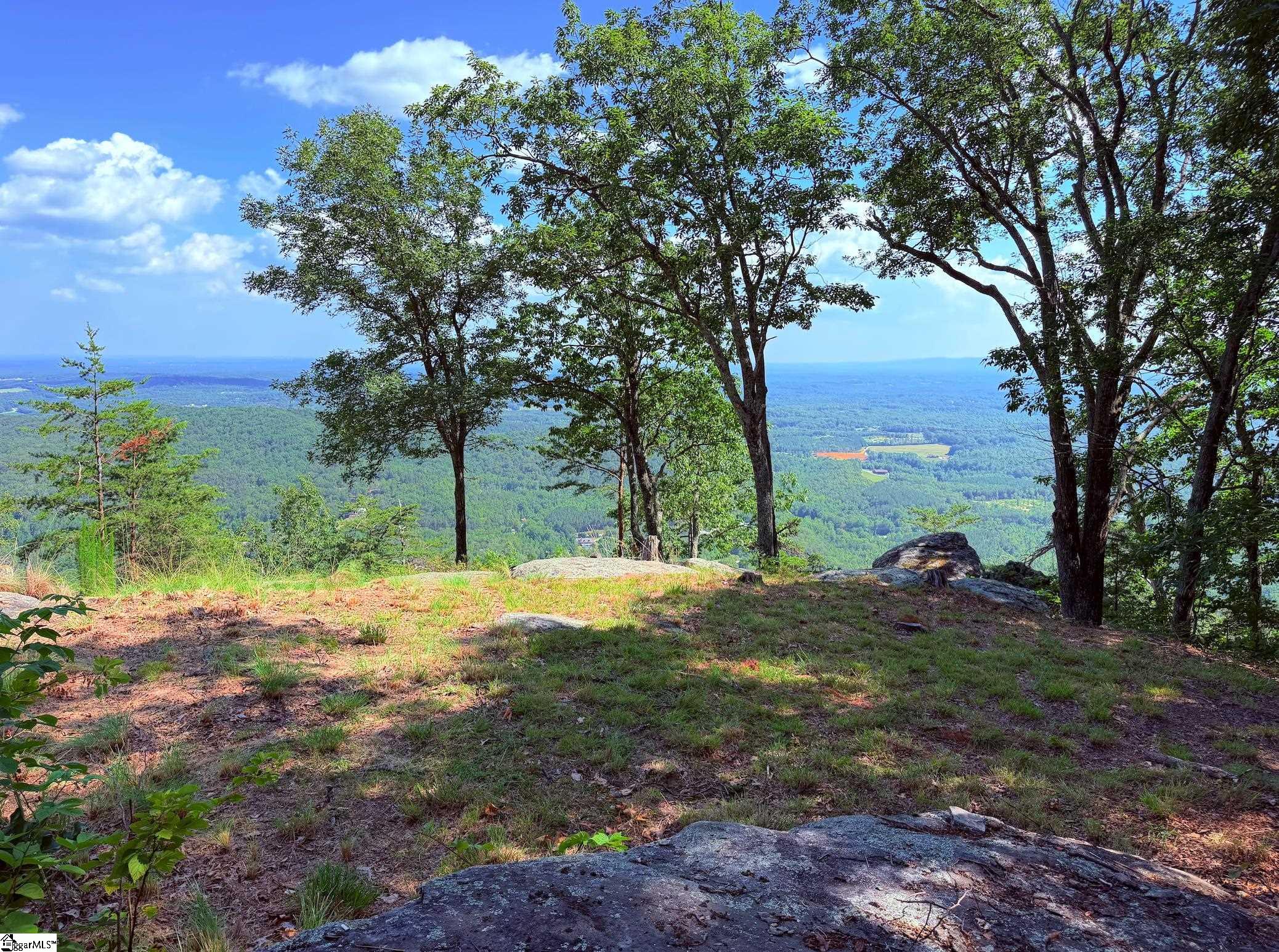 0 Southview Ledge Road Landrum SC 29356