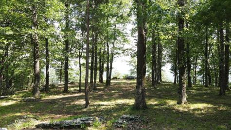 0 Southview Ledge Road Landrum SC 29356