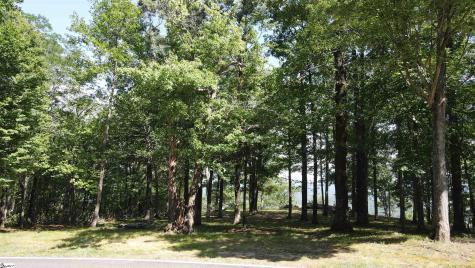 0 Southview Ledge Road Landrum SC 29356