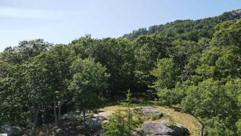 0 Southview Ledge Road Landrum SC 29356
