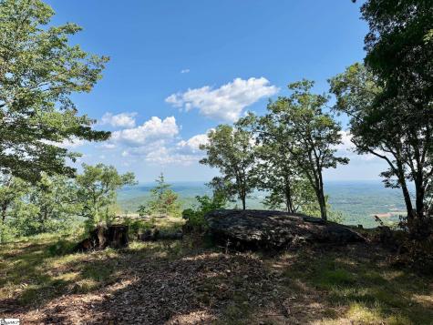 0 Southview Ledge Road Landrum SC 29356