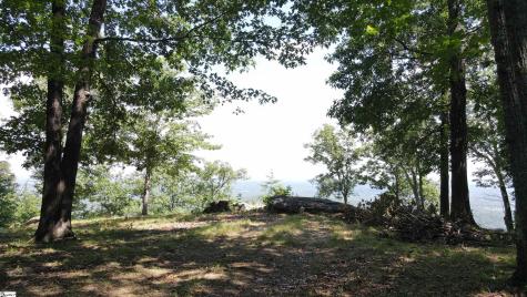 0 Southview Ledge Road Landrum SC 29356