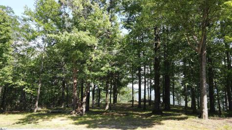 0 Southview Ledge Road Landrum SC 29356
