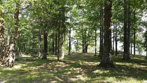 0 Southview Ledge Road Landrum SC 29356