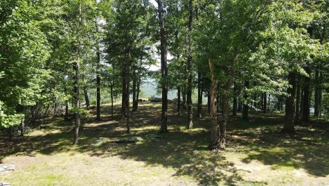0 Southview Ledge Road Landrum SC 29356
