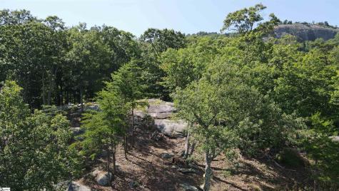 0 Southview Ledge Road Landrum SC 29356