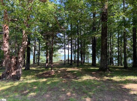 0 Southview Ledge Road Landrum SC 29356