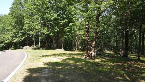 0 Southview Ledge Road Landrum SC 29356