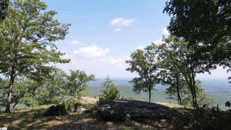 0 Southview Ledge Road Landrum SC 29356