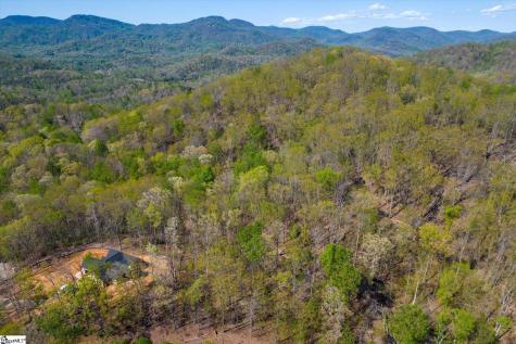 23 Alsace Way Travelers Rest SC 29690