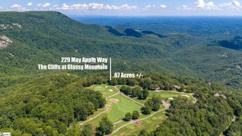 229 May Apple Way Landrum SC 29356