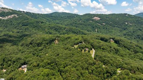 Lot 22 Plumley Summit Road Landrum SC 29356