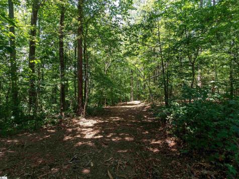Lot 22 Plumley Summit Road Landrum SC 29356