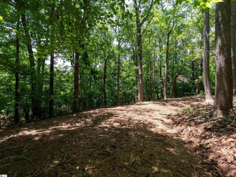 Lot 22 Plumley Summit Road Landrum SC 29356