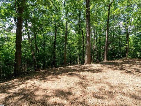 Lot 22 Plumley Summit Road Landrum SC 29356