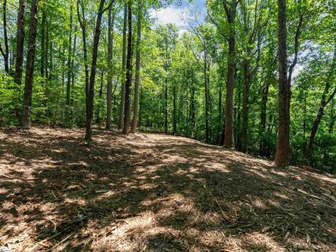 Lot 22 Plumley Summit Road Landrum SC 29356