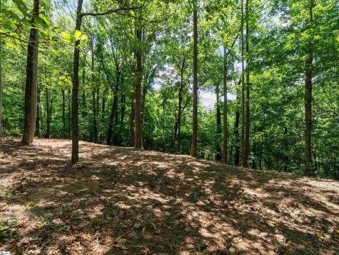 Lot 22 Plumley Summit Road Landrum SC 29356