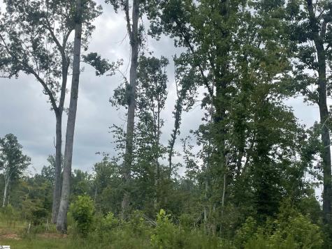 00 Holmes Bridge Road Laurens SC 29360
