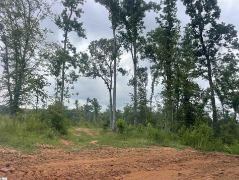 00 Holmes Bridge Road Laurens SC 29360