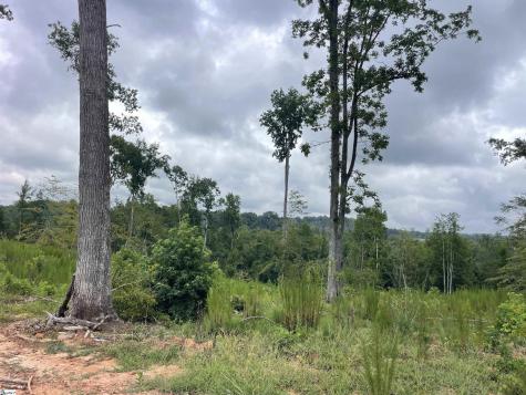00 Holmes Bridge Road Laurens SC 29360