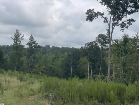 00 Holmes Bridge Road Laurens SC 29360