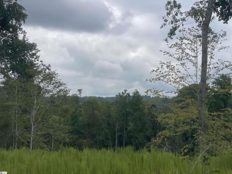 00 Holmes Bridge Road Laurens SC 29360