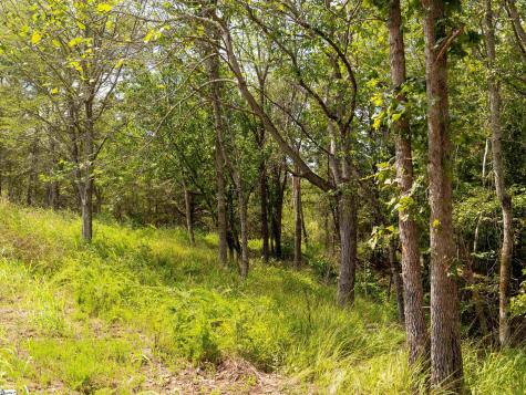 02 Neal Shoals Road Union SC 29379