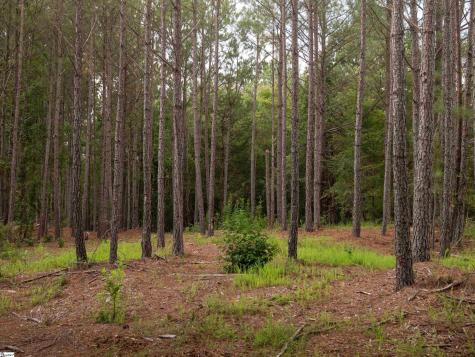 02 Neal Shoals Road Union SC 29379