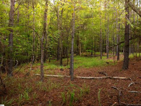 02 Neal Shoals Road Union SC 29379
