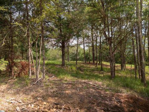 02 Neal Shoals Road Union SC 29379