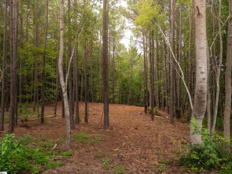 02 Neal Shoals Road Union SC 29379