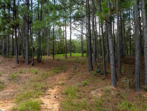 02 Neal Shoals Road Union SC 29379