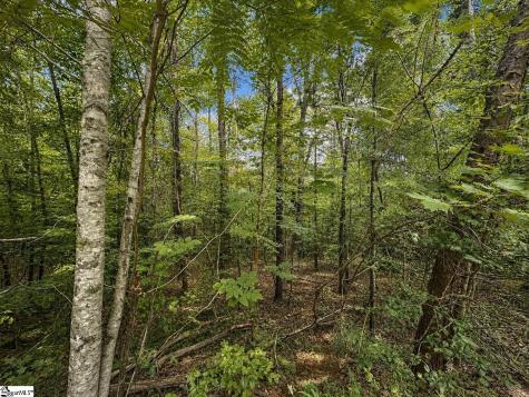 00 Sc Highway 11 Pickens SC 29671