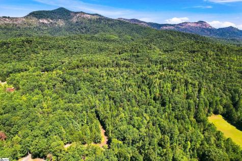 00 Sc Highway 11 Pickens SC 29671