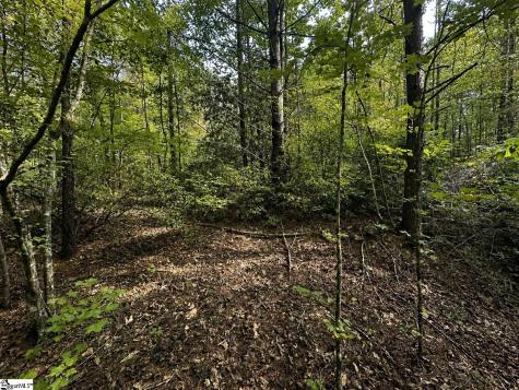 00 Sc Highway 11 Pickens SC 29671
