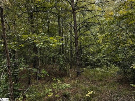 00 Sc Highway 11 Pickens SC 29671