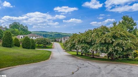 207 Colmar Court Greenville SC 29609