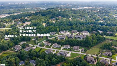 207 Colmar Court Greenville SC 29609