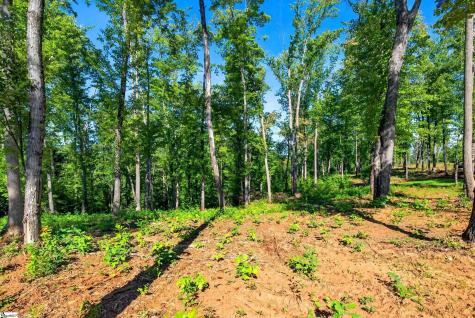 530 Chinquapin Road Travelers Rest SC 29690