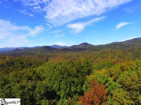0 Highway 11 Landrum SC 29356