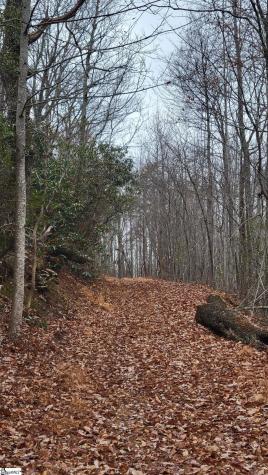 0 Highway 11 Landrum SC 29356