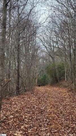 0 Highway 11 Landrum SC 29356