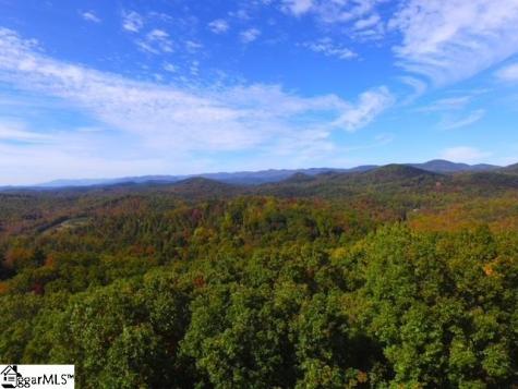0 Highway 11 Landrum SC 29356