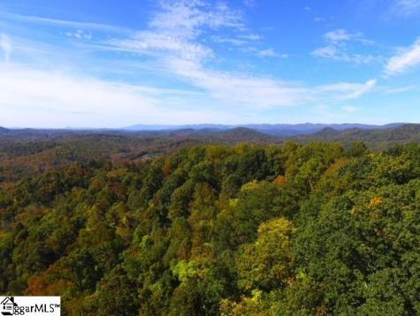 0 Highway 11 Landrum SC 29356