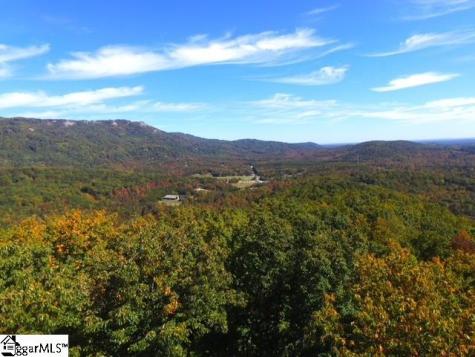 0 Highway 11 Landrum SC 29356